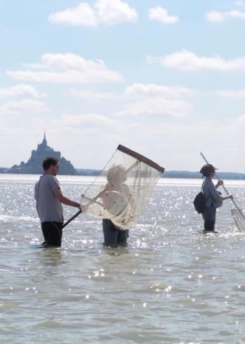 Entre Mont St Michel Et Merveille Vains Luaran gambar